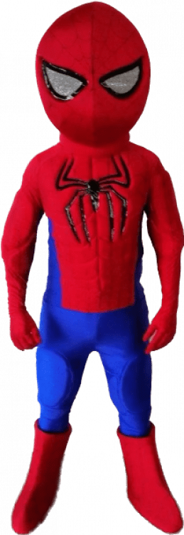 Spider-boy