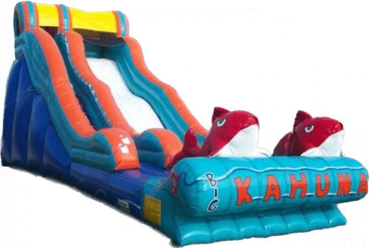 19' Big Kahuna Slide -2hp