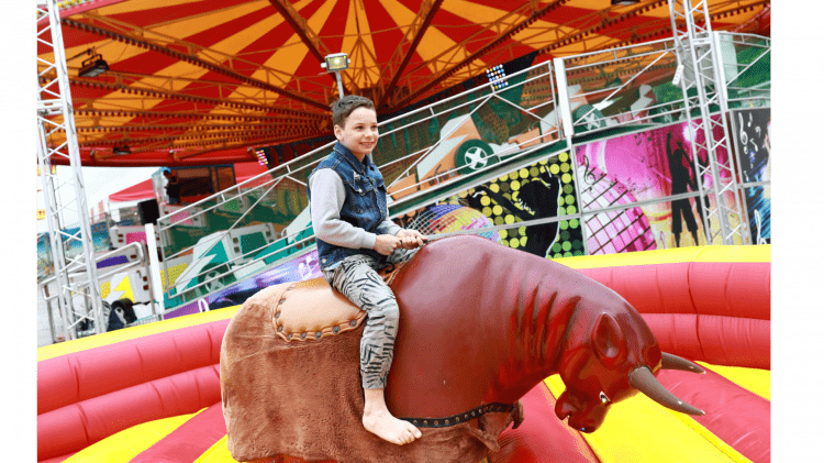 Mechanical Bull