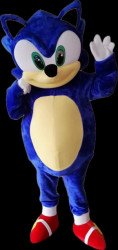 Blue Hedgehog Character