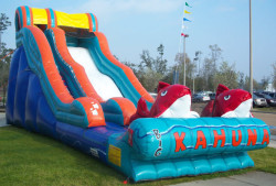 1920Big20Kahuna20Slide203 1742328615 19' Big Kahuna Slide -2hp