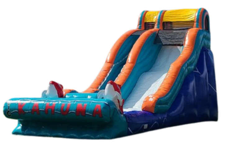 19' Big Kahuna Slide -2hp