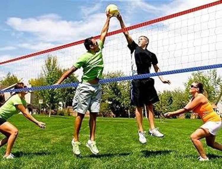 Volleyball Net