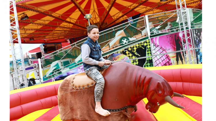 Mechanical Bull