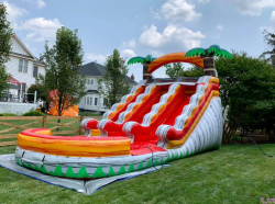 1520Double20Lane20Zion20Slide205 1752271263 15' Double lane Zion Slide - 2hp