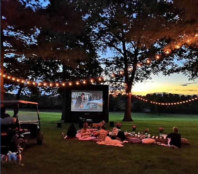 14' Inflatable Movie Screen - 1hp