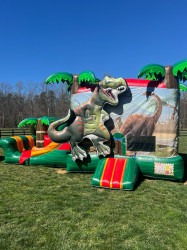 Dinosaur20Combo201 1751133598 Prehistoric Party Package
