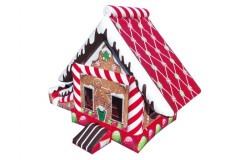 IMG 0078 1700521801 Gingerbread Bounce House Combo -1hp