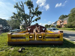 Mechanical20Bull2010 1755036130 Western Party Package (commercial)