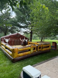 Mechanical20Bull2012 1751665088 Western Party Package