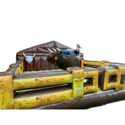 Mechanical Bull