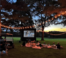 14' Inflatable Movie Screen - 1hp