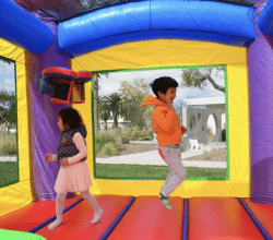 Screen20Shot202023 03 2420at2011.02.0920PM 1679713606 Jelly Bean Double Lane Toddler Combo - 1hp