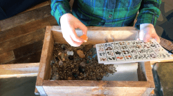 Screen20Shot202023 07 2820at206.49.2820PM 1690584737 Happy Prospector Gem Mine