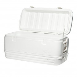 Large Cooler (color may not be white)