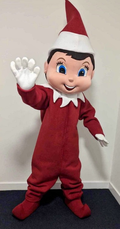 Mascot/ Character Rentals Mascot/ Character Rentals