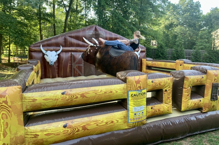 Mechanical Bull