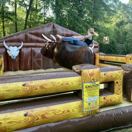 Mechanical Bull 1