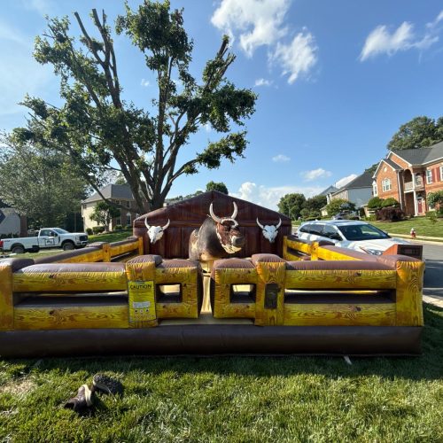 Mechanical Bull 10