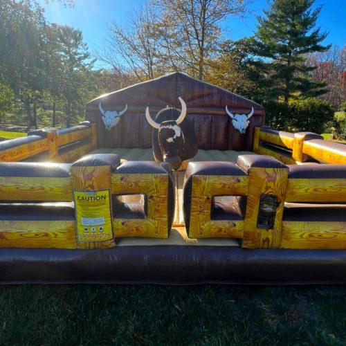 Mechanical Bull 2