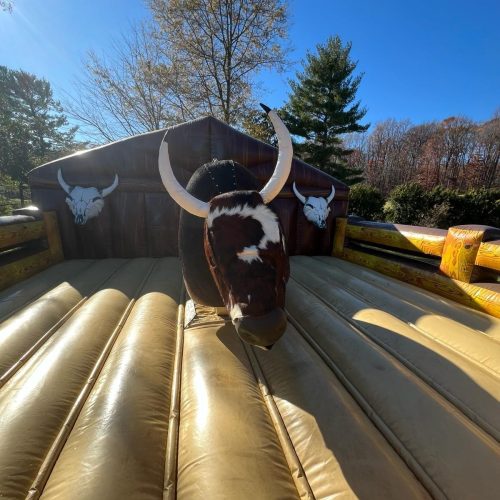 Mechanical Bull inside